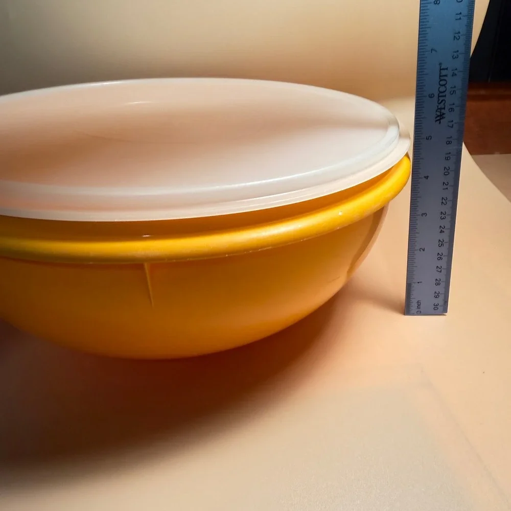 Tupperware vintage large